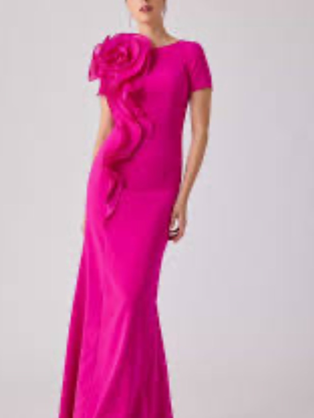 Shani Elegant Fuchsia Evening Gown with Floral Appliqué Sz 10